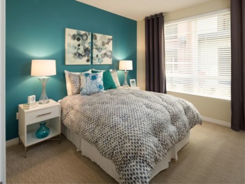 主卧 500x375 - 尔湾豪华公寓