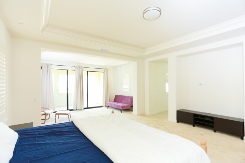 IMG 8865 500x332 - 尔湾豪华别墅