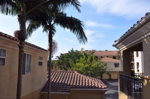 QQ图片20140708104146