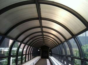 35 300x224 - 怀特纪念医院(White Memorial Medical Center)介绍及地址评价/美国洛杉矶