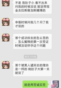 D3 208x300 - 【旅游签证+诚实过关】两则案例分析