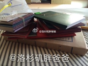 9 300x224 - 赴美生子诚实签也能秒过