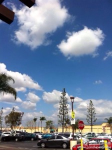 a8a11ba9jw1ef2cp5bsmkj20hs0nstc4 224x300 - 去美国生孩子的生活多姿多彩，给人一个难忘的经历