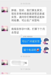 a8a11ba9jw1ekm7fhpm15j20hs0pwdi8 206x300 - 赴美生子诚实签也能秒过