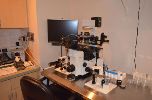 实验工作台 300x198 - 美国HRC Fertility 试管婴儿