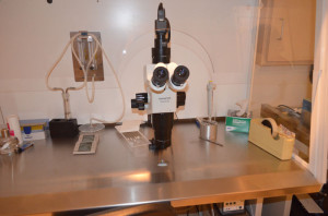 实验设备 300x198 - 美国HRC Fertility 试管婴儿