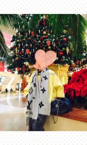 旅游1 181x300 - 去美国生孩子过海关的时候穿什么衣服比较好？