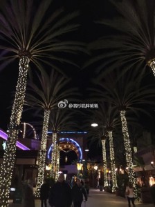 旅游3 224x300 - 去美国生孩子过海关的时候穿什么衣服比较好？