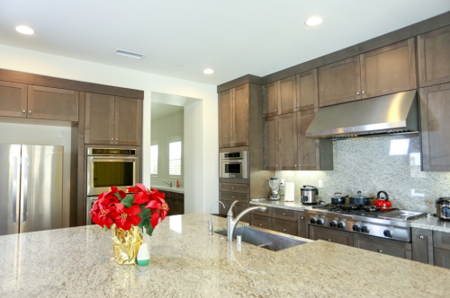 IMG 8858 500x332 - 尔湾豪华公寓