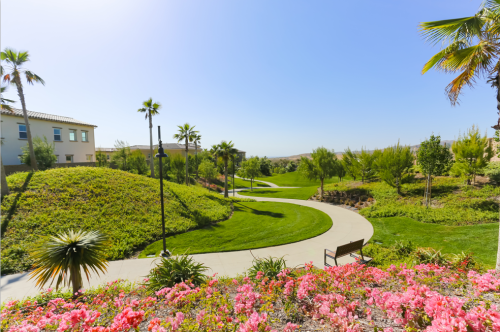 IMG 8886 500x332 - 尔湾豪华公寓