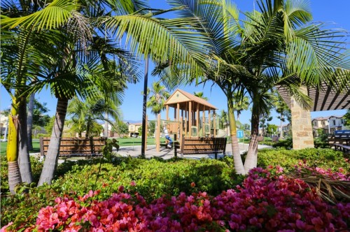 IMG 8889 500x332 - 尔湾豪华别墅