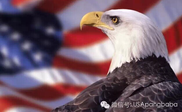 QQ图片20150123202726