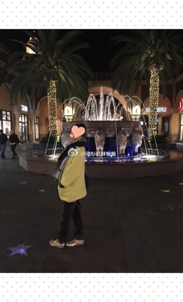 赴美产子办理什么签证能够顺利入境?诚实签证or旅游签证 a8a11ba9jw1enufq7p4a9j20m810odld 620x1024 - 赴美产子办理什么签证能够顺利入境?诚实签证or旅游签证