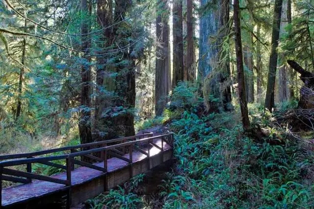 640.webp 6 - 成就尔湾的7大要素