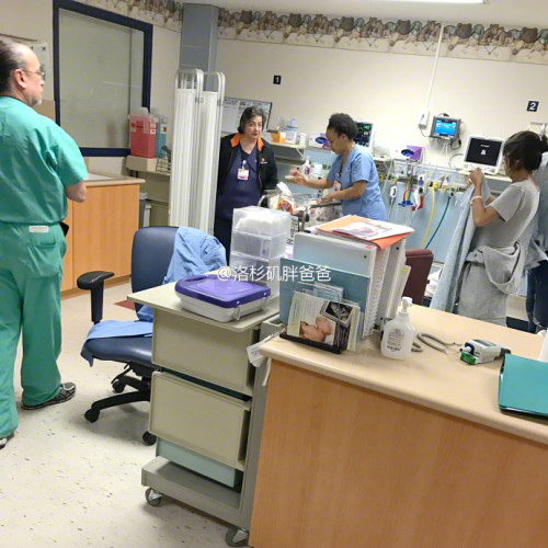 a8a11ba9gy1fcux2c9uk6j21f01f0u0z 500x500 - 关于美国试管婴儿代孕你必须知道的专业词汇