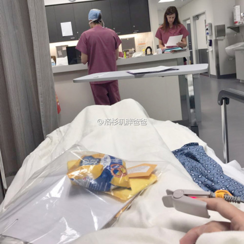 a8a11ba9gy1fd31yqzt6bj20qo0qoqqr 500x500 - 为什么囊胚移植能提高美国试管婴儿成功率