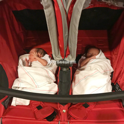 为什么美国试管婴儿医生不建议双胎移植 a8a11ba9gy1fkxty3ywqsj22c02c0qva 500x500 - 为什么美国试管婴儿医生不建议双胎移植