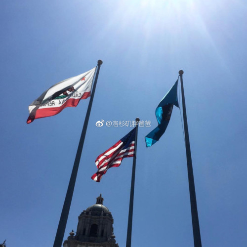 如何证明自己没有移民倾向拿到美签 a8a11ba9gy1flf41vc86sj20xu0xuaqd 500x500 - 如何证明自己没有移民倾向拿到美签