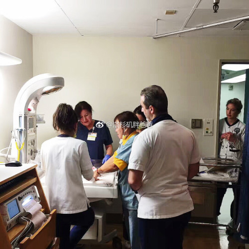 a8a11ba9gy1flypvmgam7j20u00u01kx 500x500 - 卵泡只长不破裂只有美国试管婴儿能挽救