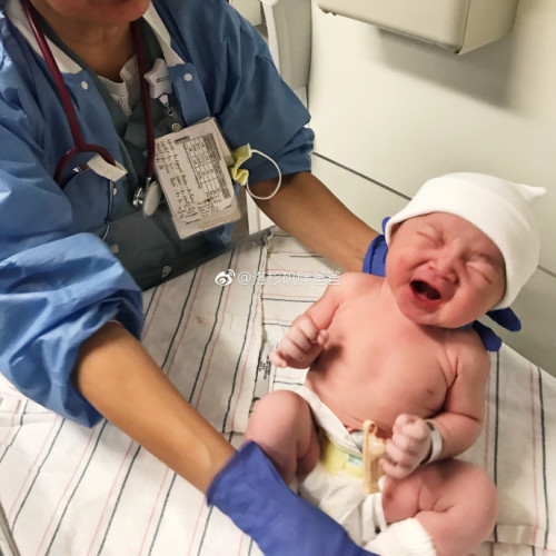 a8a11ba9gy1fmd43d7uh1j22c02c0u10 500x500 - 赴美生子美宝对家庭移民美国有哪些帮助