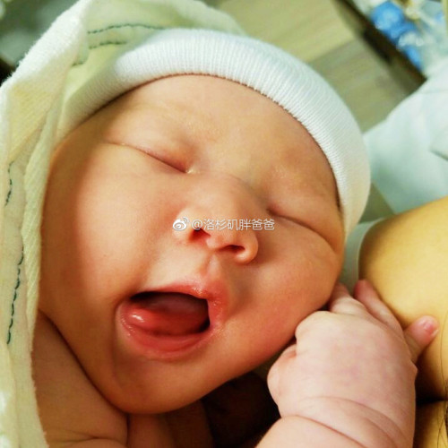 做过人流手术对美国试管婴儿有什么影响吗 a8a11ba9gy1fmjra7coguj20yd0ydqv5 500x500 - 做过人流手术对美国试管婴儿有什么影响吗