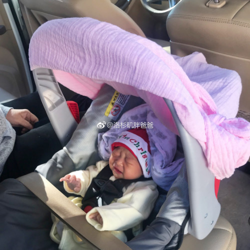 a8a11ba9gy1fmmdv4dq58j226e26ehdz 500x500 - 赴美生子的妈妈们遵守美国加州对儿童座椅的法律规定