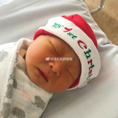 a8a11ba9gy1fmmdz22djlj22c02c0hdz 500x500 - 特朗普的移民新政策让赴美生子美籍宝宝多了更多优势