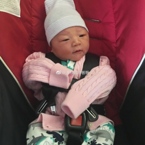 a8a11ba9gy1fm17doh5zqj226r26rhdw 500x500 - 美宝上中国户口会不会失去美国国籍