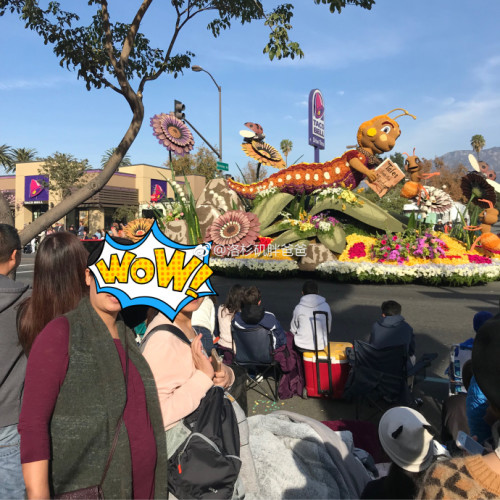 赴美生子妈妈参观Pasadena玫瑰花车游行庆祝新年 a8a11ba9gy1fn23lxw0j4j22c02c14qw 500x500 - 赴美生子妈妈参观Pasadena玫瑰花车游行庆祝新年