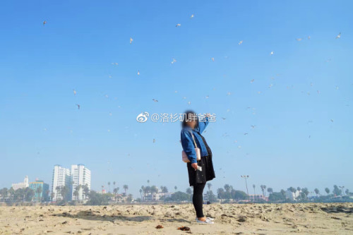 a8a11ba9gy1fn3jgseeg1j21900u0qr81 500x333 - 赴美生子过海关应该带多少现金入境