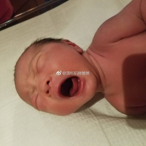 a8a11ba9gy1fn4omu3dpbj20yd0ydavo 500x500 - 患多囊卵巢症状的客人通过美国试管婴儿宝宝出生