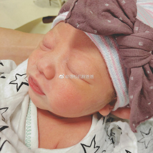 2018年洛杉矶胖爸爸教你在美国试管婴儿费用上省钱 a8a11ba9gy1fn91mskuxyj20y80y8npd 1 500x500 - 2018年洛杉矶胖爸爸教你在美国试管婴儿费用上省钱