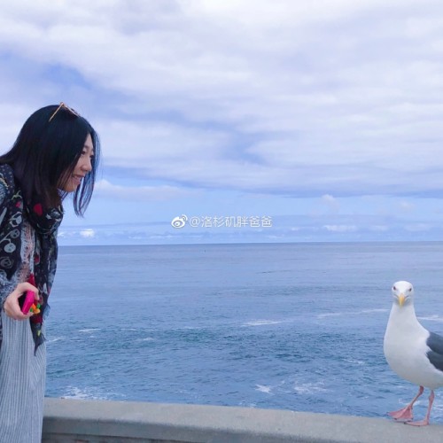 韩国籍孕妈赴美生子分享拉斯维加斯过海关经历 a8a11ba9gy1framj7ro4xj22c02c0npd 500x500 - 韩国籍孕妈赴美生子分享拉斯维加斯过海关经历