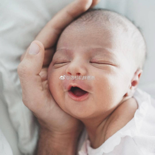 美国试管婴儿取卵越多试管的成功率就越高? a8a11ba9ly1fs18fk9t8kj20v90v9ngz 500x500 - 美国试管婴儿取卵越多试管的成功率就越高?