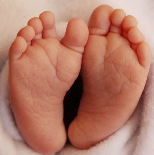 15326833651 副本 498x500 - 杭州多囊卵巢综合征客人通过美国试管婴儿如愿怀上男孩