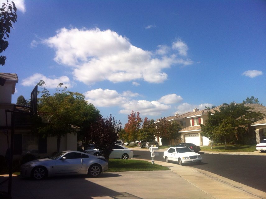 2 - 赴美生子诚实过海关，光明正大生美籍宝宝