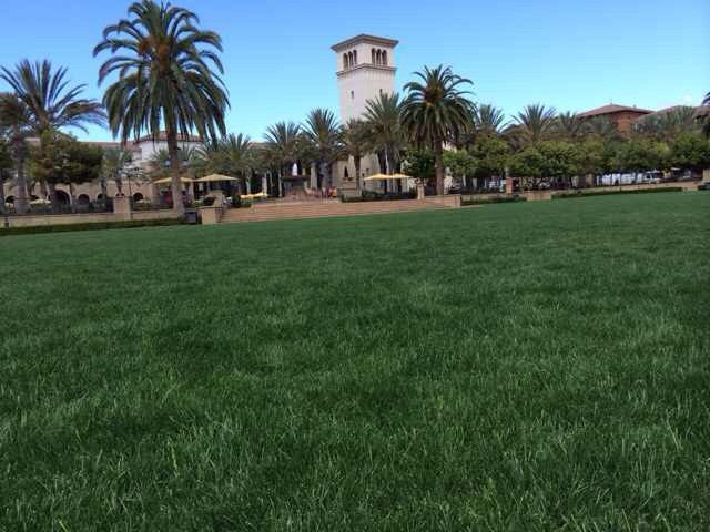 QQ图片20140516005817 - 赴美生子难忘又美丽的一段经历