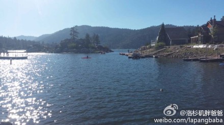 湖 - 赴美生子诚实过海关：赴美产子，不是问题