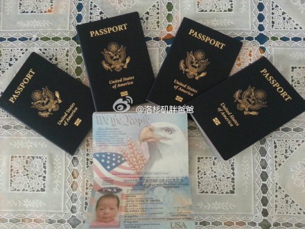 医疗 - 去美国生宝宝想买保险，要买什么保险呢？