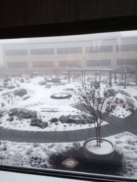 华盛顿2 - 去美国哪个城市生孩子比较好呢？华盛顿还是洛杉矶