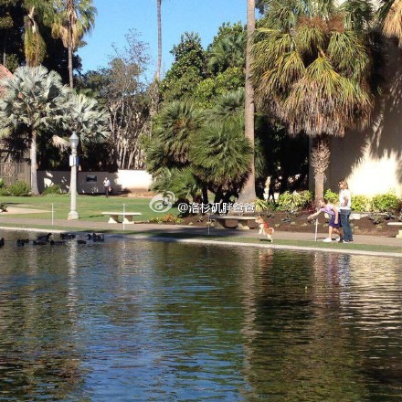 汉堡1 - 美国月子中心吃的食物怎么样？是西餐还是中餐呢？