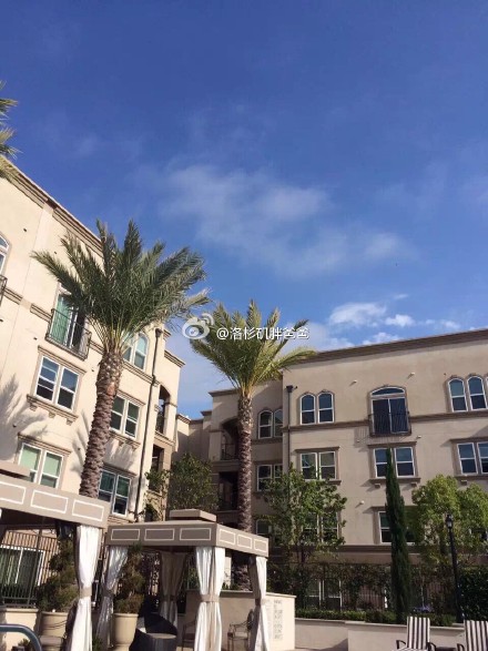 1.1 - 赴美生子的妈妈们晒太阳看书享受惬意的待产日子