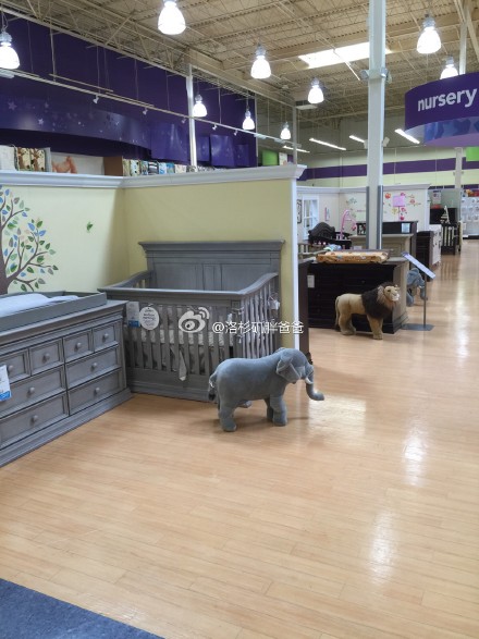 a8a11ba9jw1ev0xslpwfuj20xc18ganm - 赴美生子的妈妈囤货好去处——Babies Rus商店