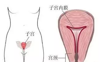 QQ截图20160223105001 - 子宫内膜增生症不孕适合做试管婴儿吗 美国第三代试管婴儿世界成功率最高