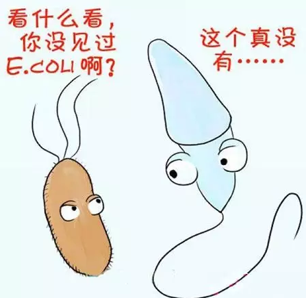 QQ截图20160223110703 - 洛杉矶胖爸爸带你看精子的14种死亡方法 美国第三代试管婴儿世界成功率最高