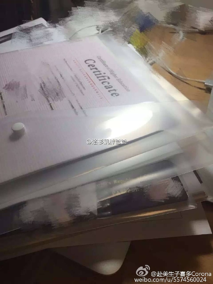 啦啦诚实签 - 杭州拉拉客人赴美做试管婴儿 办理诚实签顺利通过