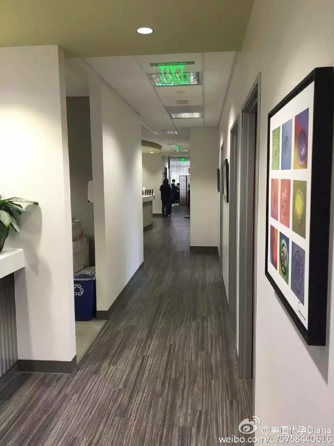 山西试管 - 山西客人赴美成功取卵受精 试管取卵知多少