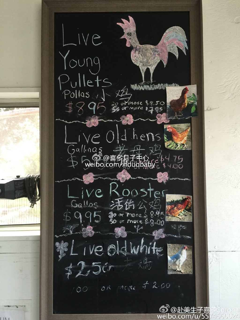 老母鸡 - 去美国生孩子为什么选择喜多月子中心？