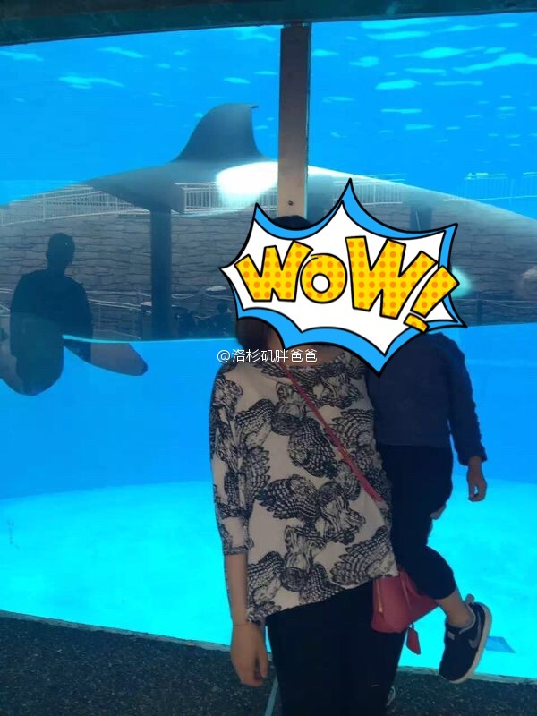 河南 - 河南客人赴美生子带二宝顺利入境美国