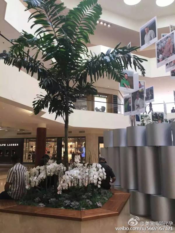 试管 - 上海客人赴美试管进入周期 在美国做试管婴儿的流程是什么？